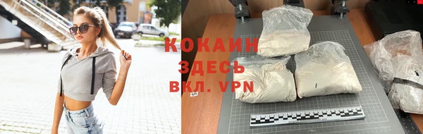 крисы Каменногорск