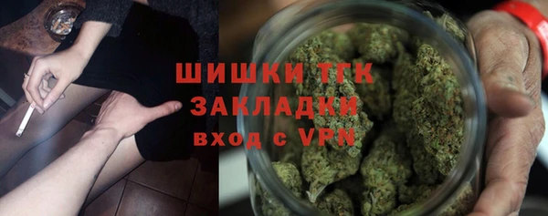 крисы Каменногорск