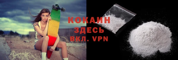 крисы Каменногорск