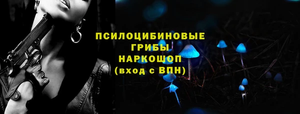 героин Каменка