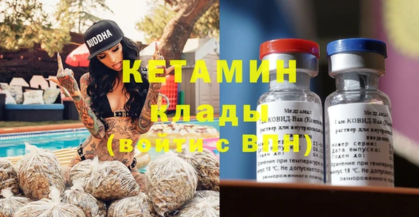 крисы Каменногорск