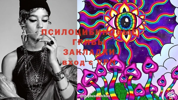 крисы Каменногорск