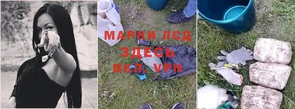 крисы Каменногорск