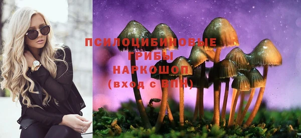 героин Каменка