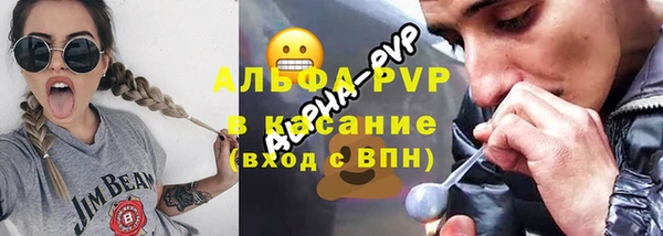 крисы Каменногорск