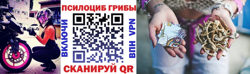Купить закладки  Стрежевой  Галлюциногенные грибы ЛСД 