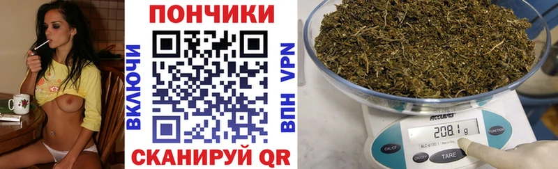 Бошки Шишки семена  Купить закладки  Стрежевой 